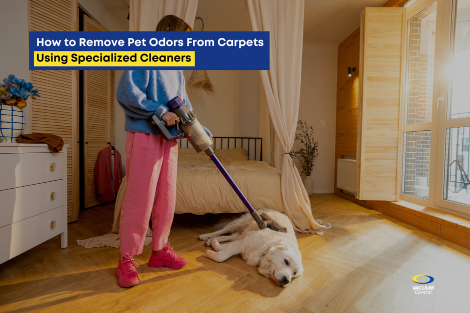 How to Remove Pet Odors From Carpets Using Specialized Cleaners